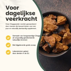 20% korting | Chaga Poeder Biologisch|Cupplement Outlet