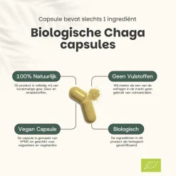 20% korting | Chaga Capsules 500 mg Biologisch|Cupplement Online
