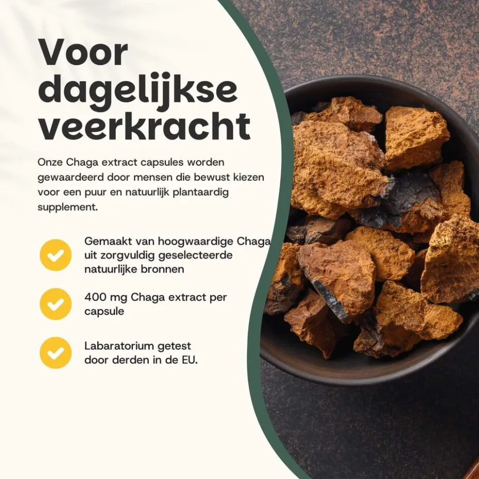 Cupplement 20% korting | Chaga Extract Capsules 400mg< Natuurlijke Supplementen