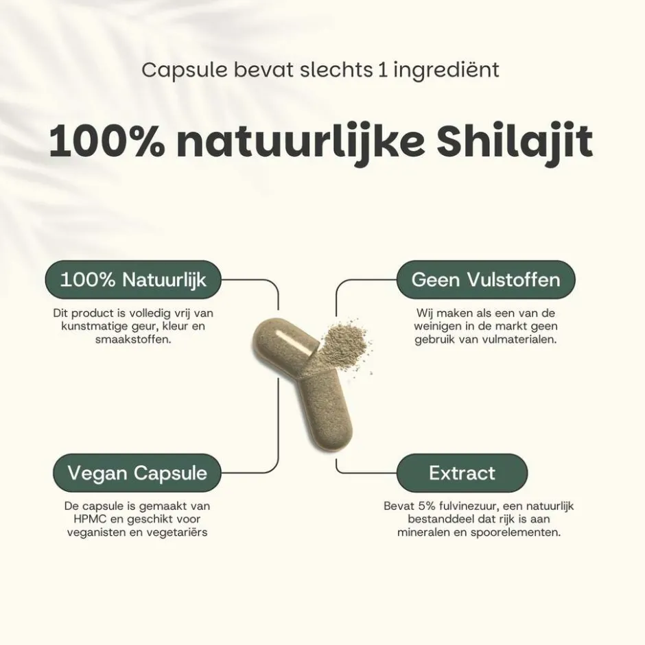 Cupplement 10% korting | Combideal Shilajit Extract (5%) Capsules 500 mg< Natuurlijke Supplementen