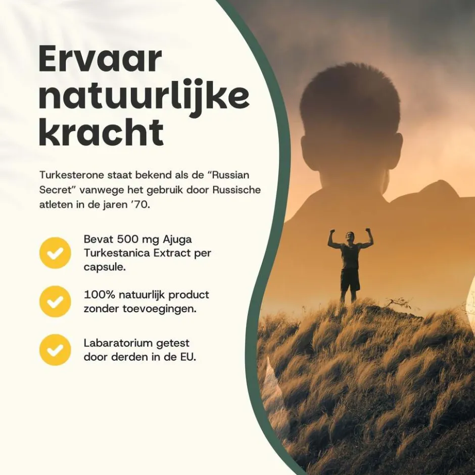 30% korting | Combideal Turkesterone Capsules 500 mg|Cupplement Clearance