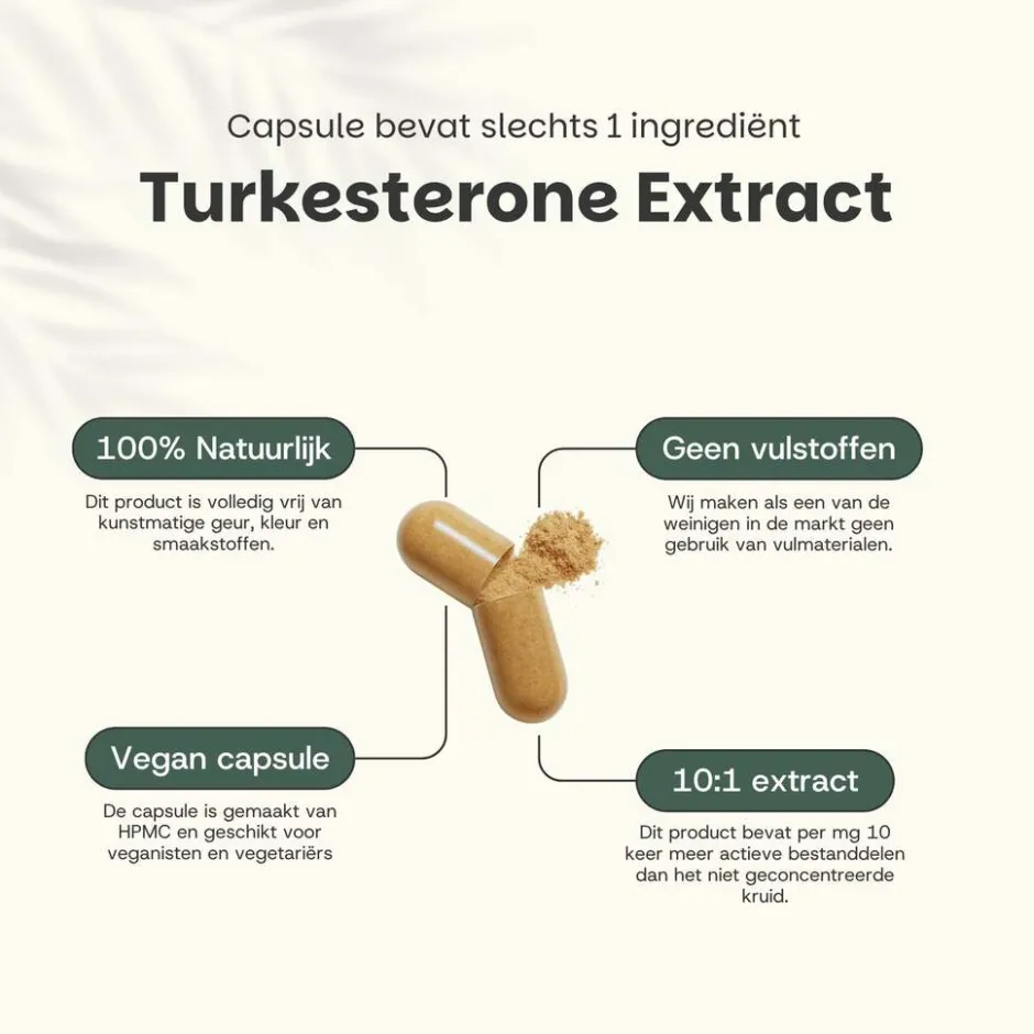 30% korting | Combideal Turkesterone Capsules 500 mg|Cupplement Clearance