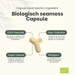 Cupplement 45% korting | Multipack Sea Moss Capsules 500 mg Biologisch< Natuurlijke Supplementen