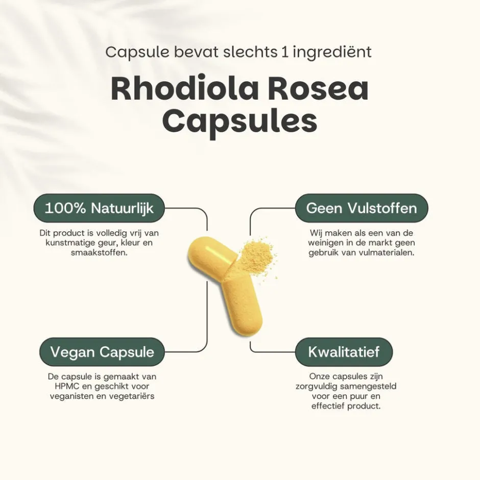 45% korting | Multipack Rhodiola Rosea Capsules 500 mg|Cupplement Clearance