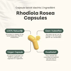 Cupplement 20% korting | Rhodiola Rosea Capsules 500 mg< Natuurlijke Supplementen