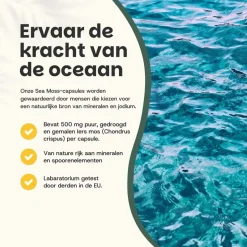 20% korting | Sea Moss Capsules 500 mg Biologisch|Cupplement Discount