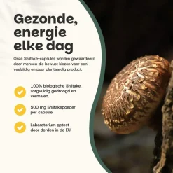 20% korting | Shiitake Capsules 500 mg Biologisch|Cupplement Sale