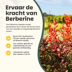 Cupplement 20% korting | Voordeelverpakking Berberine Extract Capsules 400 mg< Natuurlijke Supplementen
