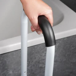 opstapje met handvat|Aidapt New