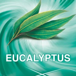 Eucalyptus Allesreiniger|Ajax New