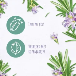 Andrélon Pro Nature Rosemary Refresh Shampoo|Andrelon New
