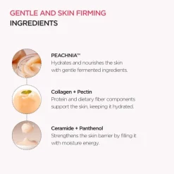 Peach 77 Niacin Enriched Cream|ANUA