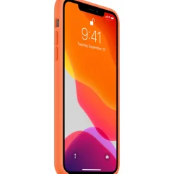 Apple Hoesje voor de iPhone 11 Pro Max< Telefoonhoesjes