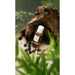 Arts & Odeurs Souffle Tropical Extrait de Parfum< Unisex Parfum