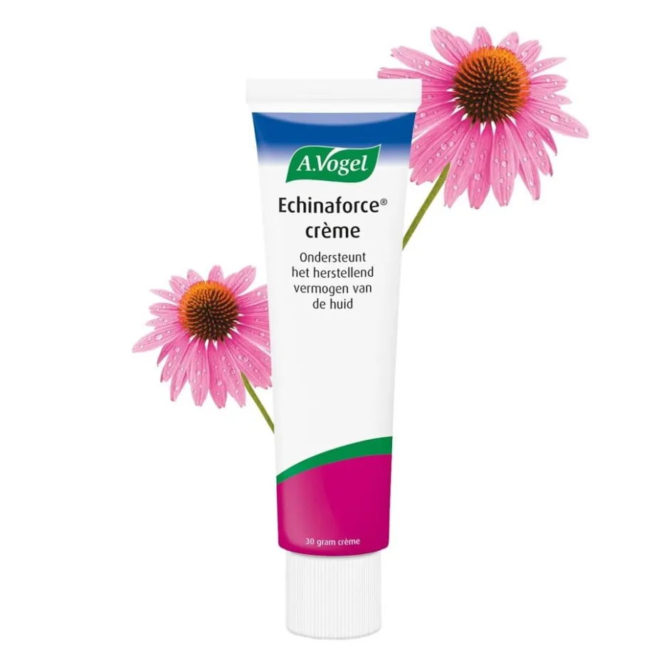 Echinaforce Crème|A.Vogel Discount