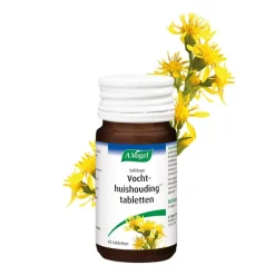 Solidago Tabletten|A.Vogel New