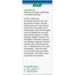 Solidago Tabletten|A.Vogel New
