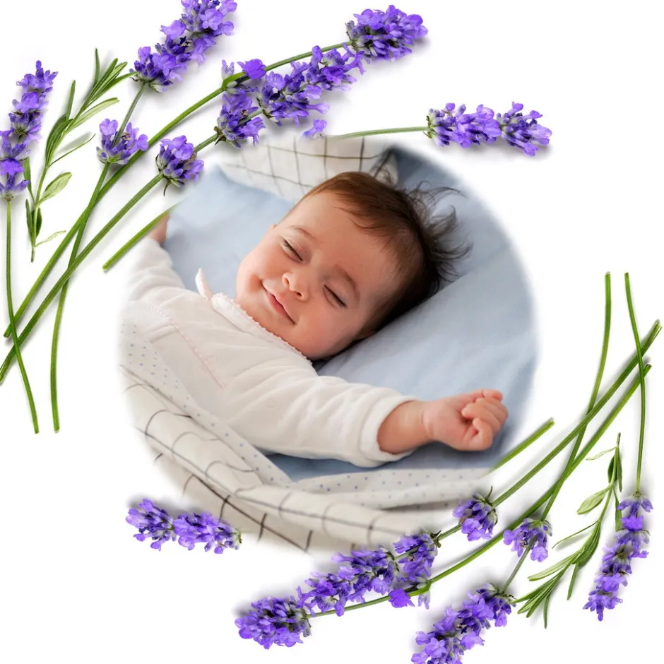 Baby Ono Cherry Grijs Lavendel Pittenzak|Babyono Clearance