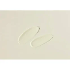 BEAUTY OF JOSEON Sun Rice Probiotics< Zonnebrand|Korean Skincare