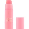 Blushin' Charm 040 Sparkle Lover Multi Stick|Catrice Discount