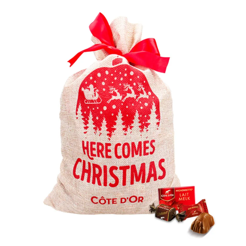 Côte d'Or Best of chocolademix kerstzak|Cote D'Or Outlet