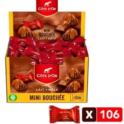 Côte d'Or Chocolade Mini Bouchée Pralines|Cote D'Or Sale