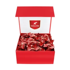 Cote D'Or Côte d'Or Mini Bouchée luxe rode magneetdoos< Trakteren|Chocolade
