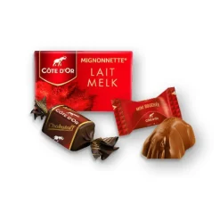 Cote D'Or Côte d'Or The Best Of – Luxe Magneetdoos met Chokotoff, Mini Bouchée & Mignonnette Melk< Chocolade