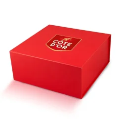 Cote D'Or Côte d'Or The Best Of – Luxe Magneetdoos met Chokotoff, Mini Bouchée & Mignonnette Melk< Chocolade