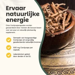 Cordyceps Capsules 500 mg Biologisch|Cupplement Hot