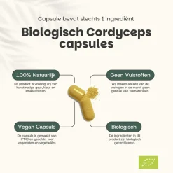 Cordyceps Capsules 500 mg Biologisch|Cupplement Hot