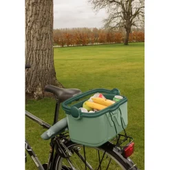 Koelbox 10L|Curver Online
