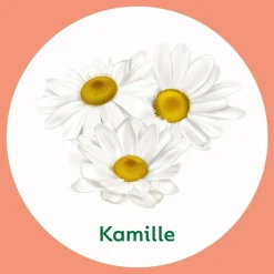 Chamomile & Cotton Flower Wascrème met Pomp|Dettol Hot