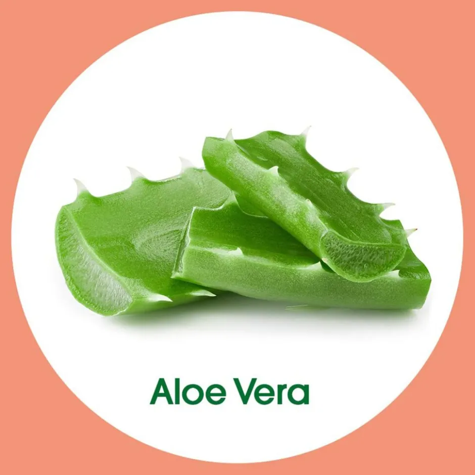 Dettol No-Touch Aloë Vera Antibacteriële Handzeep Navulling< Handzeep Navulling|Handzeep
