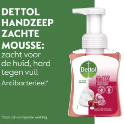 Dettol Touch of Foam Rose & Cherry in Bloom Handzeep< Handzeep