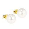 Oorstekers Piacenza|Di Lusso Discount