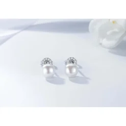 Di Lusso Oorstekers Plaisir< Sieraden En Bijoux