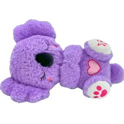 Overig Dreamiez Koala Slaapknuffel< Elektronisch Speelgoed|Interactief Speelgoed