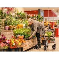 DRIVE MEDICAL GMBH Drive lichtgewicht rollator Gigo< Mobiliteitshulpmiddelen