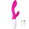 Lily Vibrator 2.0 Oplaadbaar|EasyToys Online