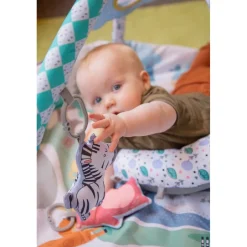 Jungle Speelkleed/Ballenbak|Eco Toys Discount