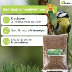 meelwormen vogelvoer|Famiflora Outlet