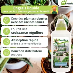 Famiflora vloeibare meststof voor cactussen, vetplanten en bonsaï< Buiten En Vrije Tijd