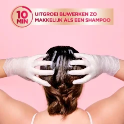 Color Retouch 4.0 Middenbruin Haarkleuring|GARNIER COLOR SENSATION Discount
