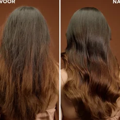 Garnier Argan & Cameliaolie Haarmasker|Loving Blends Outlet