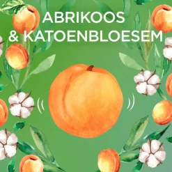 Garnier Kids Abrikoos 2-in-1 Shampoo & Conditioner|Loving Blends Discount