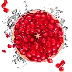 Garnier SkinActive Hydra Bomb Tissuemasker|Garnier Skin Naturals Outlet