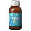 Anijs Suspensie Maagzuurremmer|Gaviscon Outlet