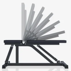 Gorilla Sports Fitnessbank< Halters En Gewichten