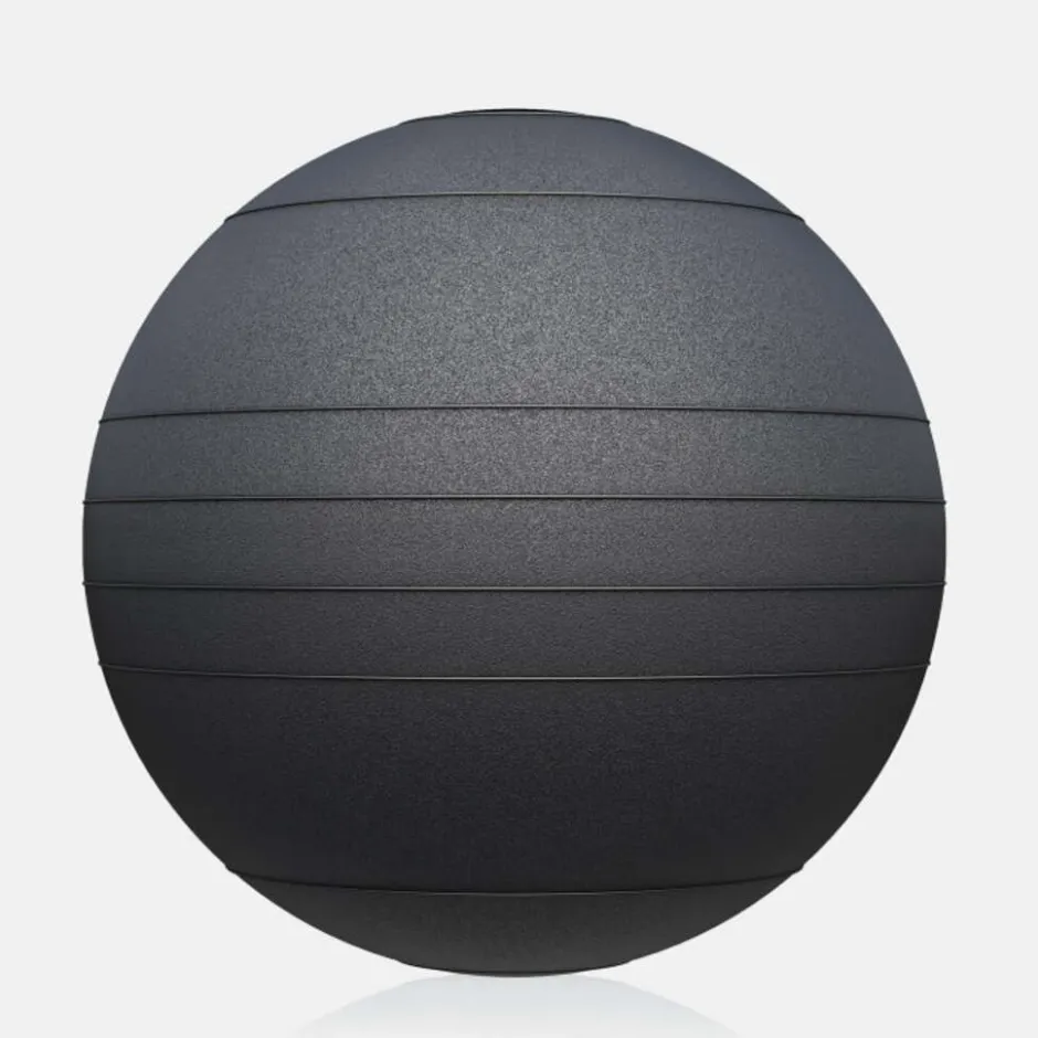 Gorilla Sports Slam Ball< Halters En Gewichten